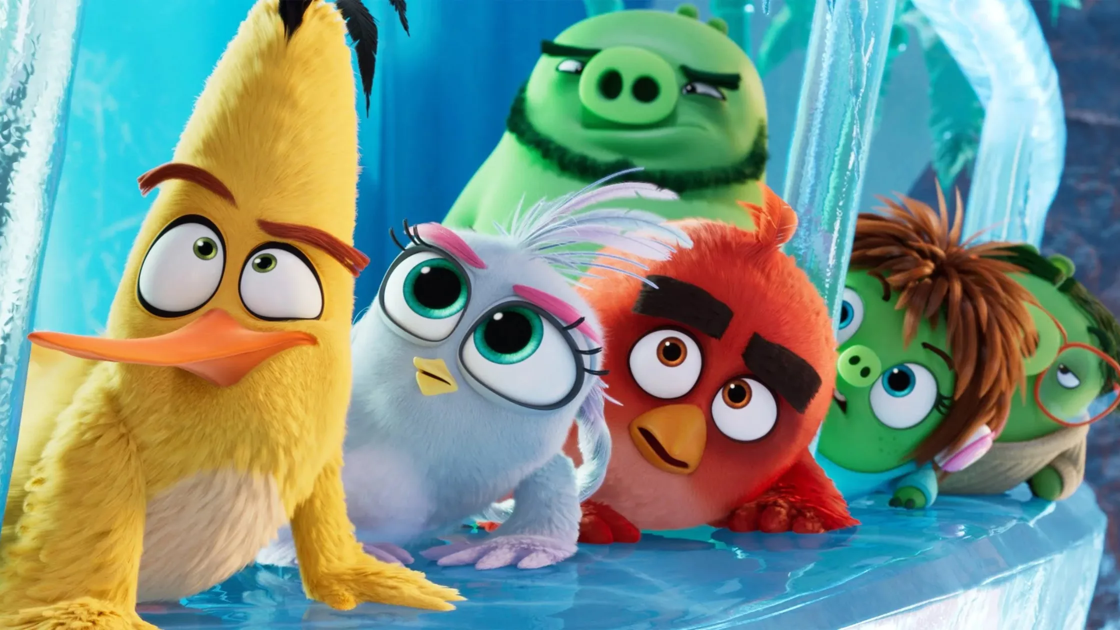 Marathon Angry Birds sur Sony One Hit Comédie