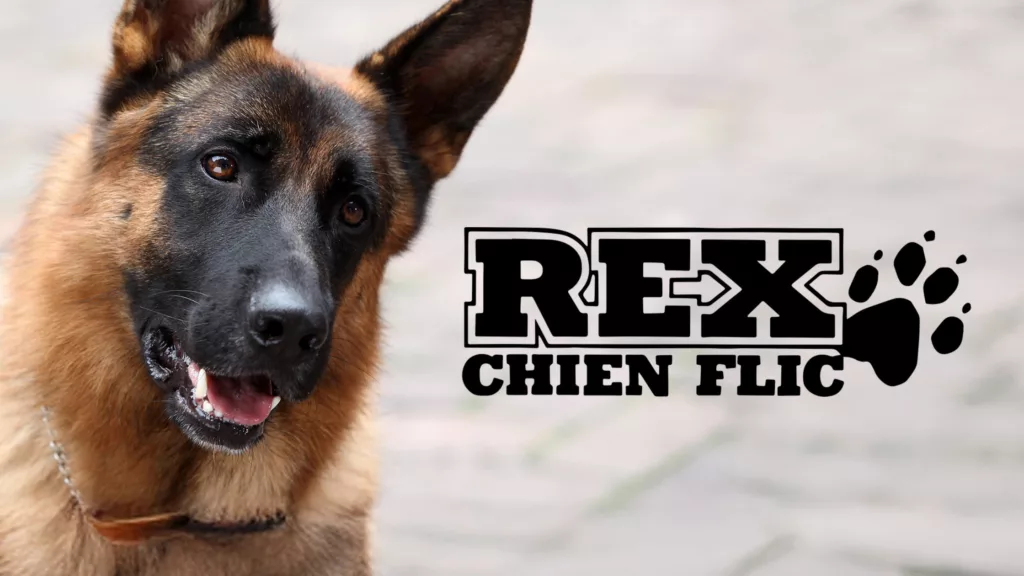 REX CHIEN FLIC : Enquêtes au poil sur Pluto TV