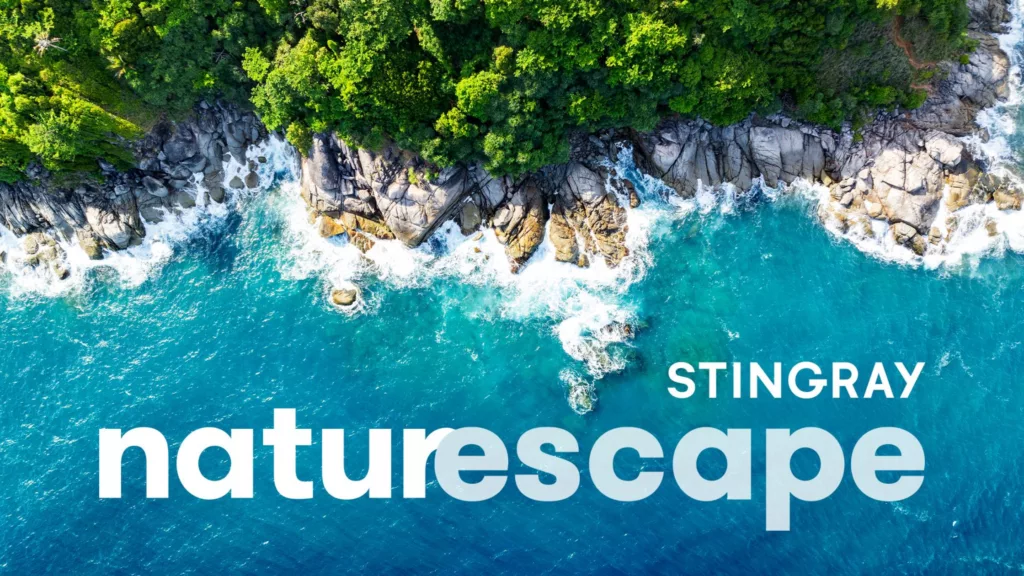 Stingray Naturescape