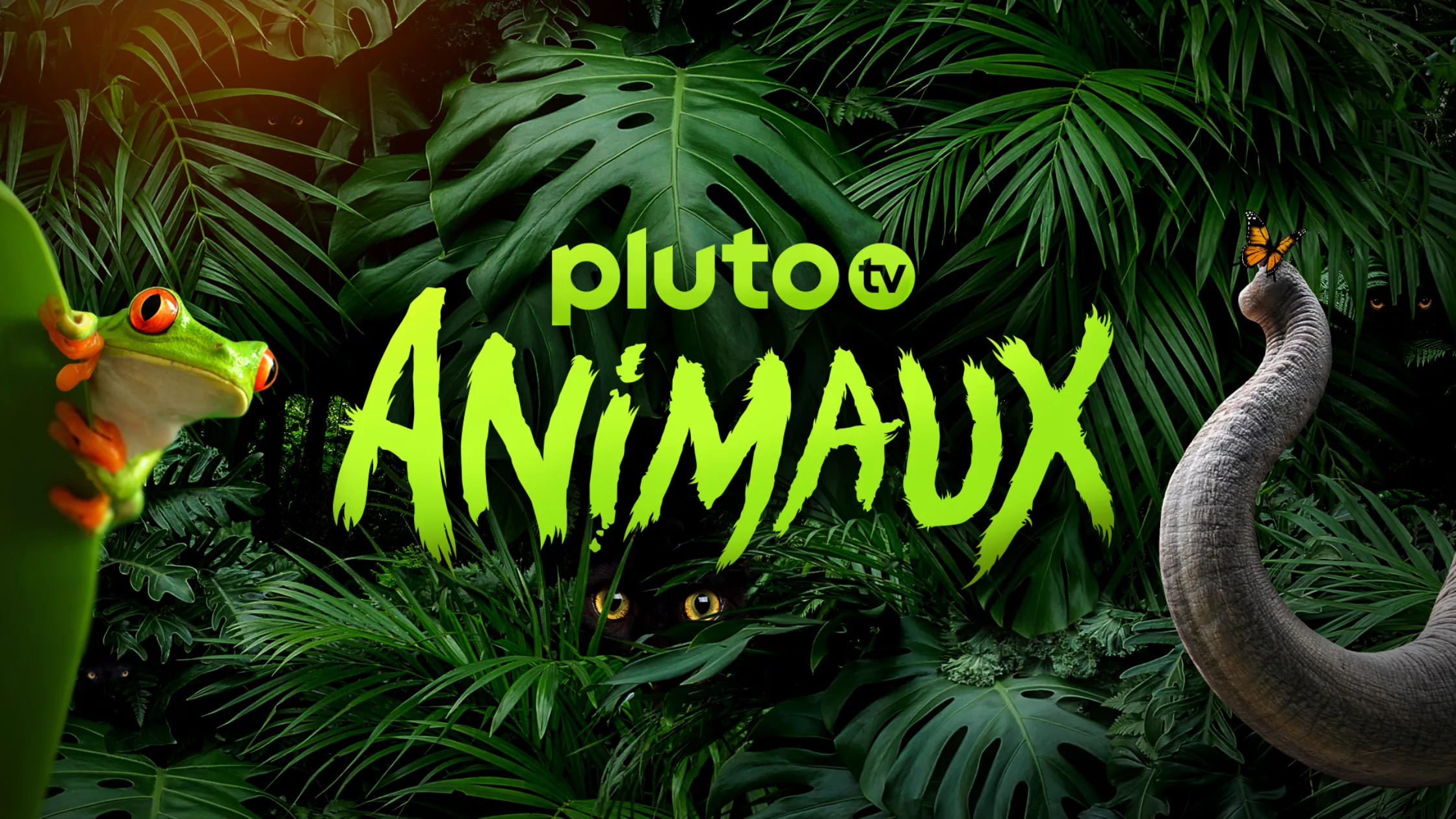 Pluto TV Animaux