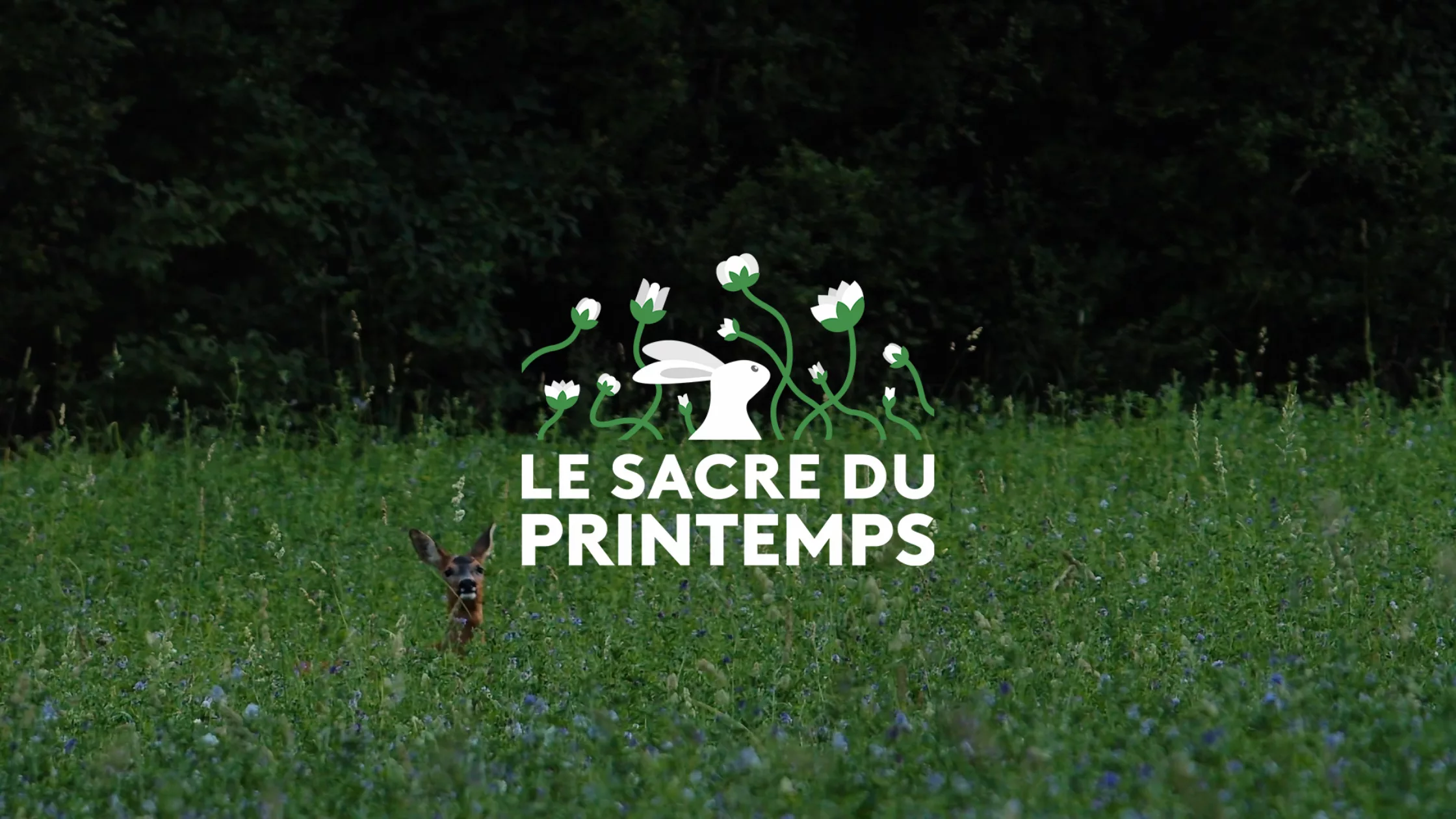 France Télévisions et Eden lancent "Le Sacre du Printemps", un nouveau pari sur la Slow TV